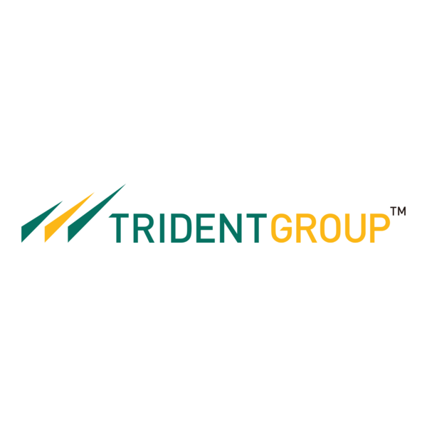 TRIDENT GROUP
